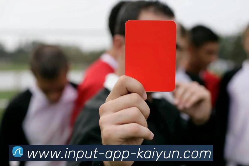 开云app服务体系