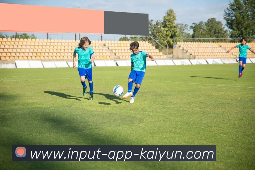 多媒体互动体验